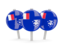 French Southern and Antarctic Lands. Three round pins. Download icon.
