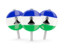 Lesotho. Three round pins. Download icon.