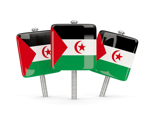 Three square pins. Download flag icon of Western Sahara at PNG format