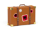 Albania. Travel suitcase icon. Download icon.