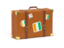 Cote d'Ivoire. Travel suitcase icon. Download icon.