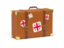 Georgia. Travel suitcase icon. Download icon.
