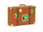 Guyana. Travel suitcase icon. Download icon.