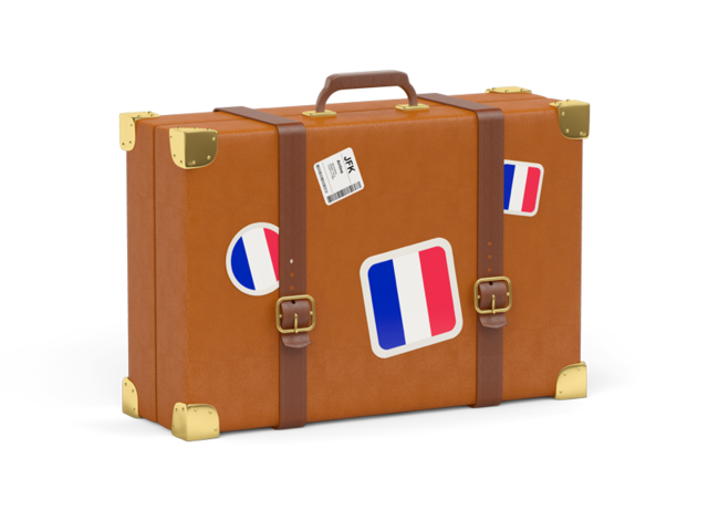 Travel suitcase icon. Download flag icon of Reunion at PNG format