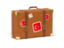 Turkey. Travel suitcase icon. Download icon.