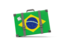 Brazil. Traveling icon. Download icon.