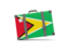 Guyana. Traveling icon. Download icon.