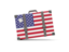 United States of America. Traveling icon. Download icon.