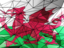Wales. Triangle background. Download icon.