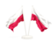 Poland. Two waving flags. Download icon.