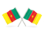 Cameroon. Two wavy flags. Download icon.