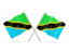 Tanzania. Two wavy flags. Download icon.