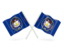 Flag of state of Utah. Two wavy flags. Download icon