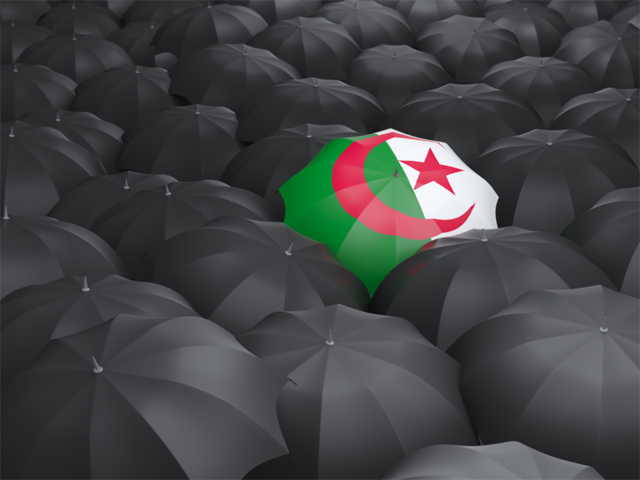 Umbrella with flag. Download flag icon of Algeria at PNG format