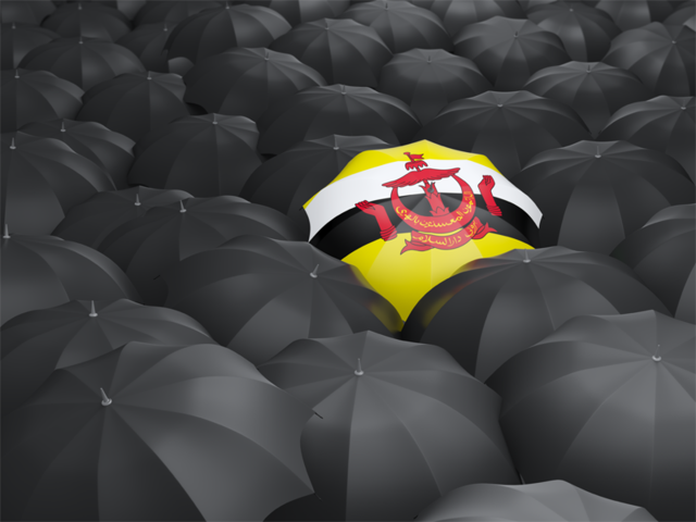 Зонтик с флагом. Скачать флаг. Бруней