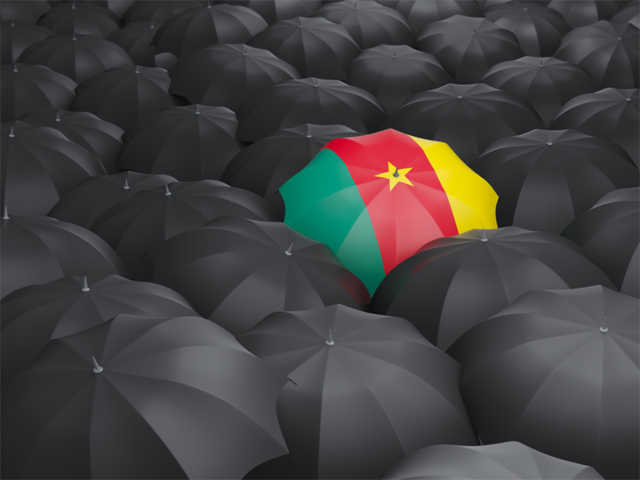 Umbrella with flag. Download flag icon of Cameroon at PNG format