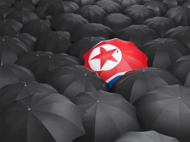 Зонтик с флагом. Скачать флаг. Северная Корея