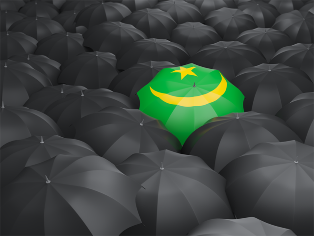 Зонтик с флагом. Скачать флаг. Мавритания