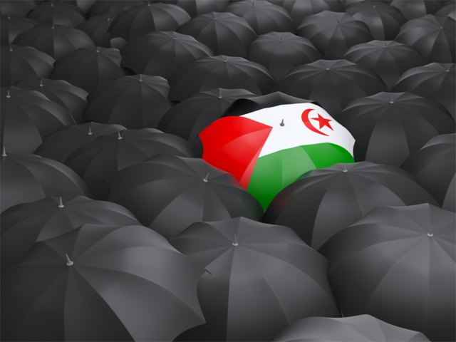 Umbrella with flag. Download flag icon of Western Sahara at PNG format