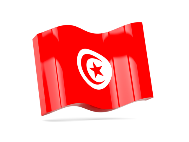 Wave icon. Download flag icon of Tunisia at PNG format