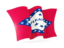 Flag of state of Arkansas. Waving flag. Download icon