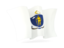 Flag of state of Massachusetts. Waving flag. Download icon