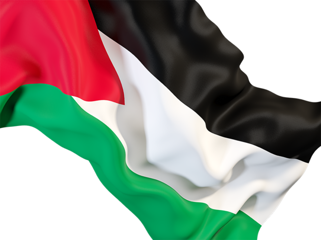 Palestine flag png