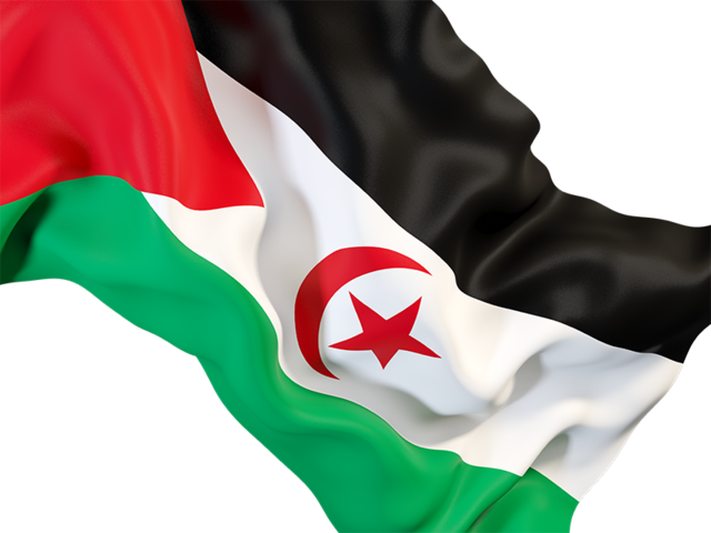 Waving flag closeup. Download flag icon of Western Sahara at PNG format