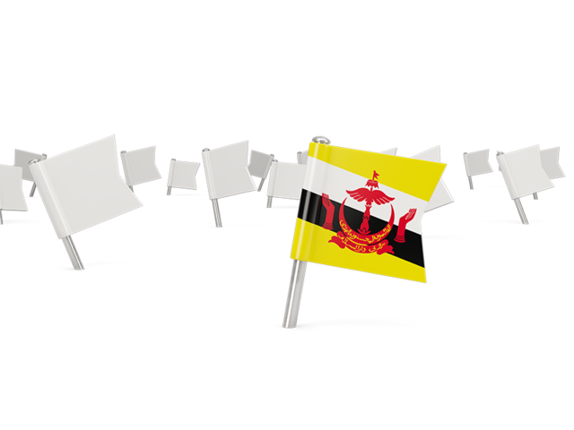 White flag pins. Download flag icon of Brunei at PNG format