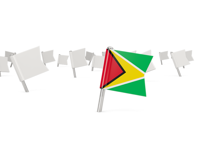 Белые флажки. Скачать флаг. Гайана