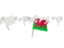 Wales. White flag pins. Download icon.