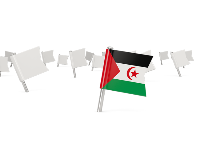 White flag pins. Download flag icon of Western Sahara at PNG format