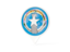 Northern Mariana Islands. White pointer with flag. Download icon.